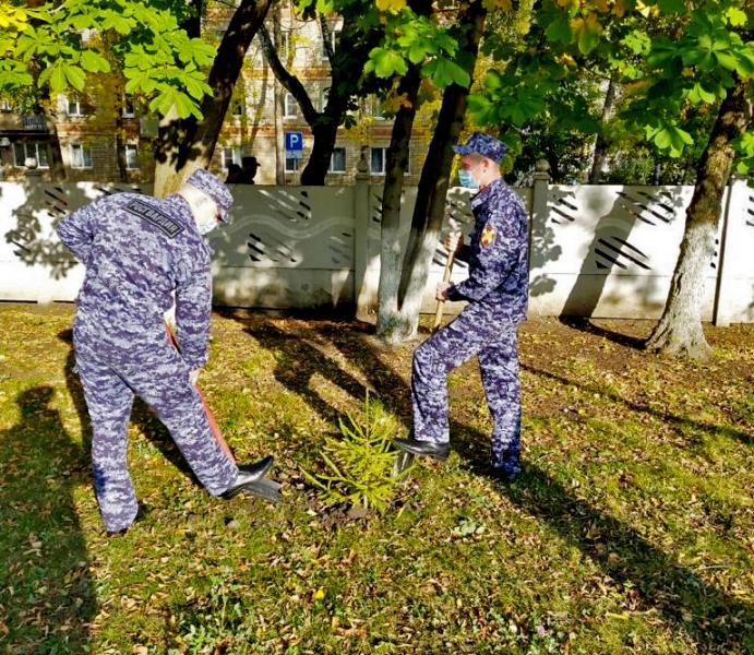 В Мордовии росгвардейцы присоединились к Всероссийской акции «Лес Победы»
