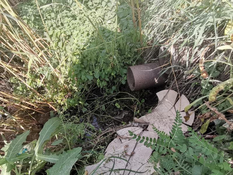 ОНФ в Воронежской области просит надзорные органы провести проверку по факту сброса нечистот в приток реки Левая Богучарка