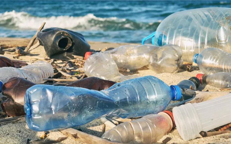 WWF: сколько пластика мы съедаем за всю жизнь?
