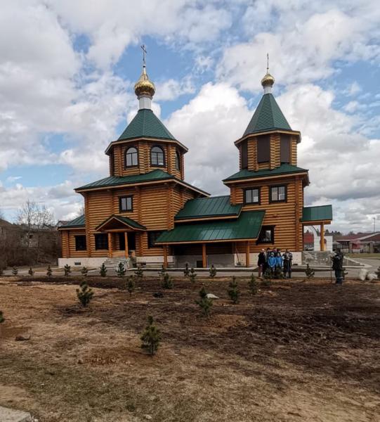 150 кедров посадили сотрудники и волонтеры «Чартер Грин Лайт Москва» в Московской области