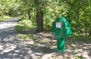 Новый экологический арт-объект появился в Петрозаводске