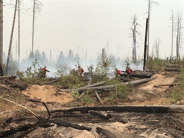 Личный состав и техника Управления Росгвардии по Чувашской Республике задействованы в тушении лесного пожара в Мордовии
