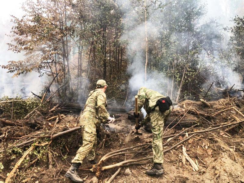 Военнослужащие и сотрудники Росгвардии продолжают бороться с лесными пожарами в Темниковском районе Республики Мордовия