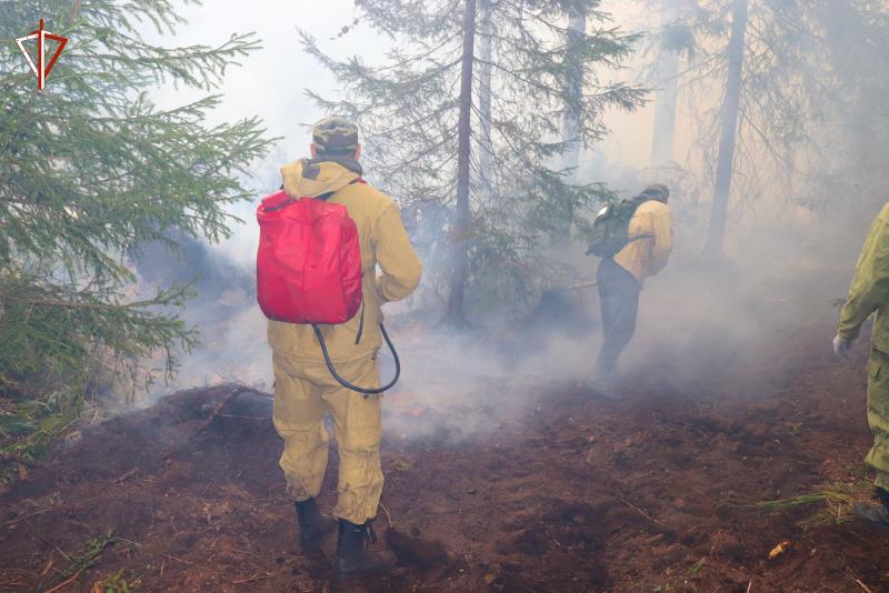 В Марий Эл сотрудники Росгвардии оказывают помощь в ликвидации лесного пожара