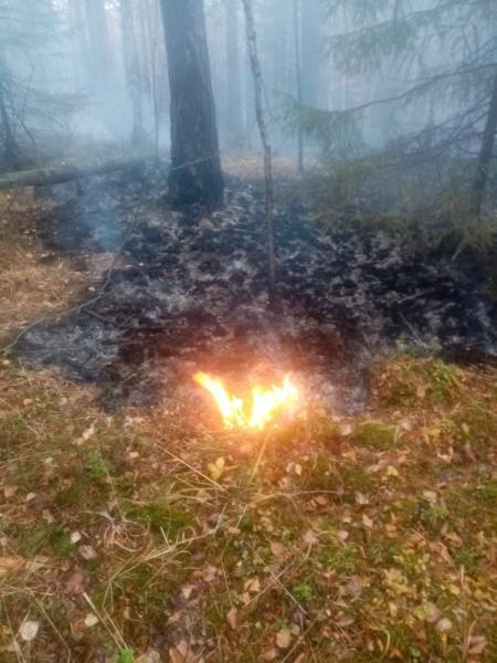 Кто тушит лесные пожары под Екатеринбургом. История волонтера