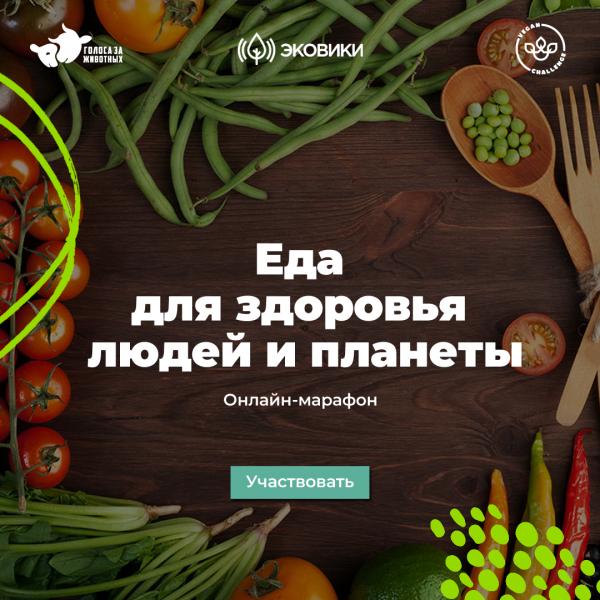 Астраханцы узнают, как питаться без вреда для окружающей среды