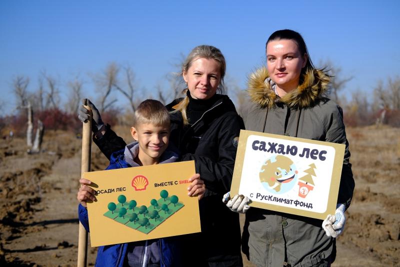 Бонусы автовладельцев помогли волонтёрам  восстановить лес в Волгоградской области