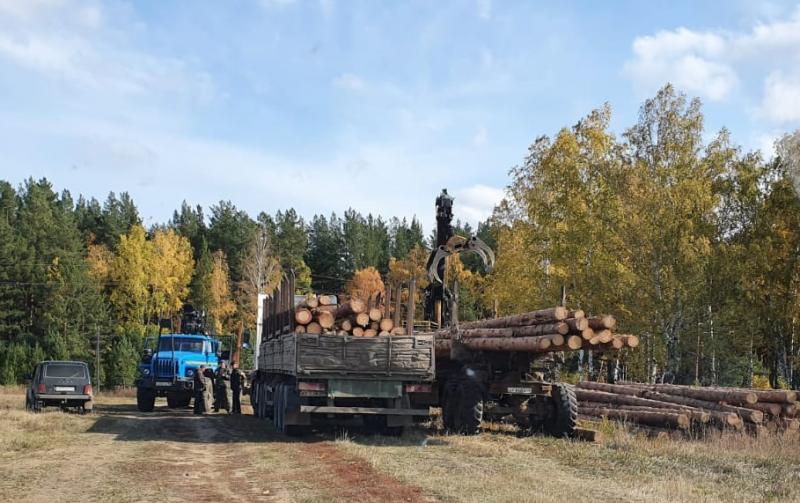 По материалам ФСБ полиция Каменск – Уральского возбудила дело по факту незаконной рубки леса