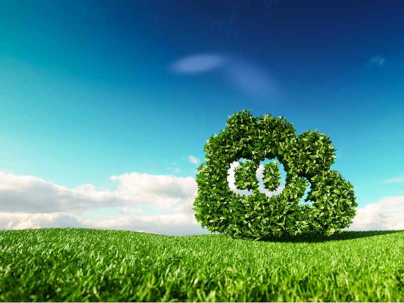 Экологическая повестка становится значимой не только для «зеленых» активистов и политиков, но и для бизнеса