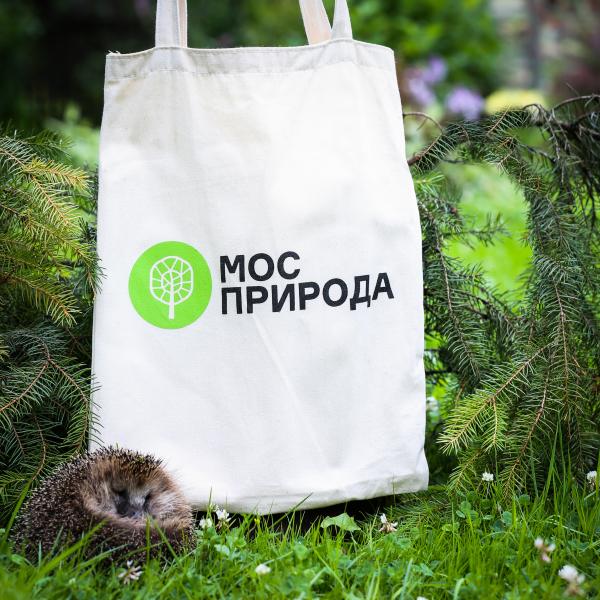 Эксперты VIII Московской экорезиденции утвердят правила раздельного сбора отходов