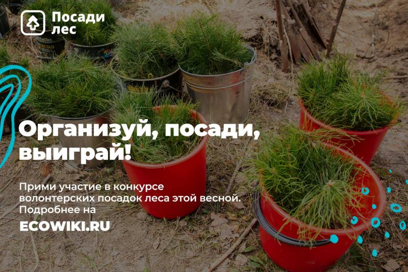 Жители Ульяновской области смогут получить премию за посадку леса