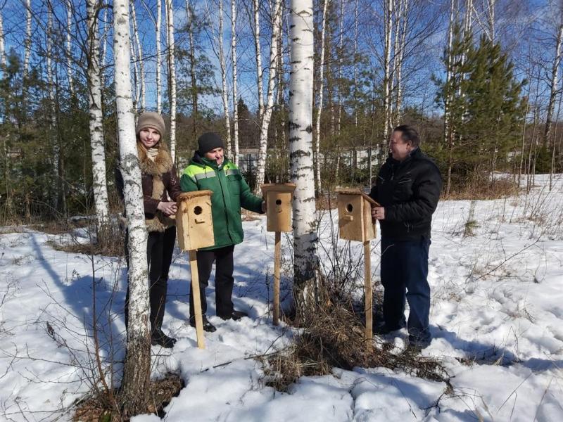 Смоленские лесопатологи развесили скворечники в деревне Борок
