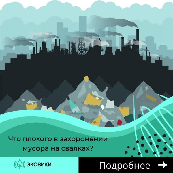 Ульяновцев приглашают в онлайн-гид по борьбе с мусором