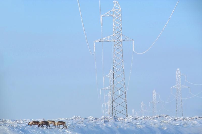 Энергосистема Западной Сибири успешно прошла проверку аномальными холодами