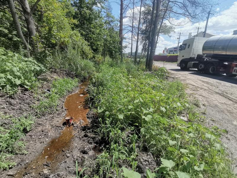 В Воронежскую нагорную дубраву снова начали сливать токсичные нечистоты