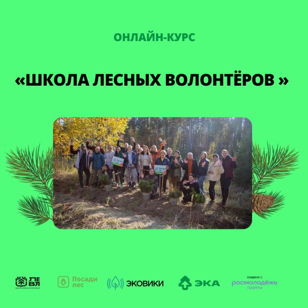 Жителей Ульяновской области приглашают принять участие в школе лесных волонтеров