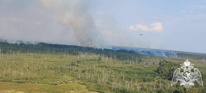 Авиация Росгвардии принимает участие в тушении лесных пожаров в Рязанской области