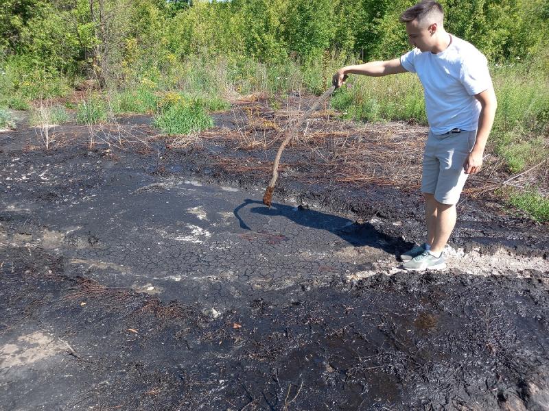 Воронежские общественники выявили несколько несанкционированных мест сброса токсичных отходов производства