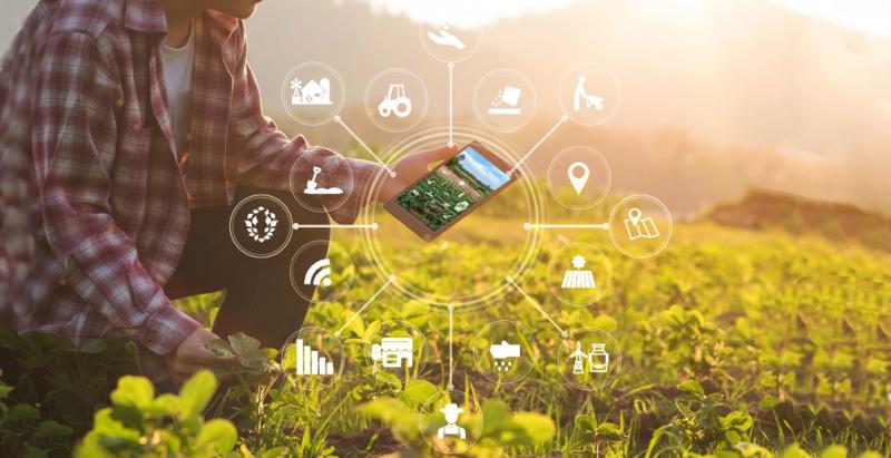 Производители товаров для сельского хозяйства смогут создавать собственные интернет-магазины на цифровой платформе РСХБ
