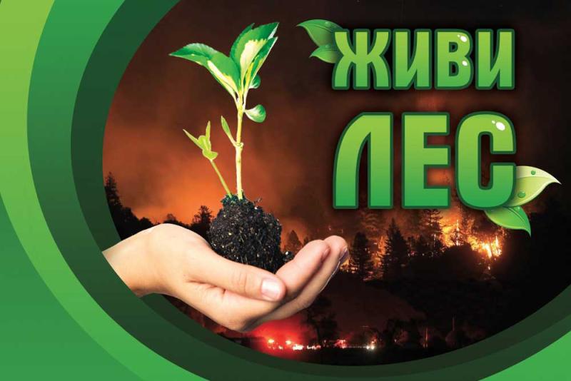 Росгвардейцы Свердловской области примут участие в акции «Живи, лес!»