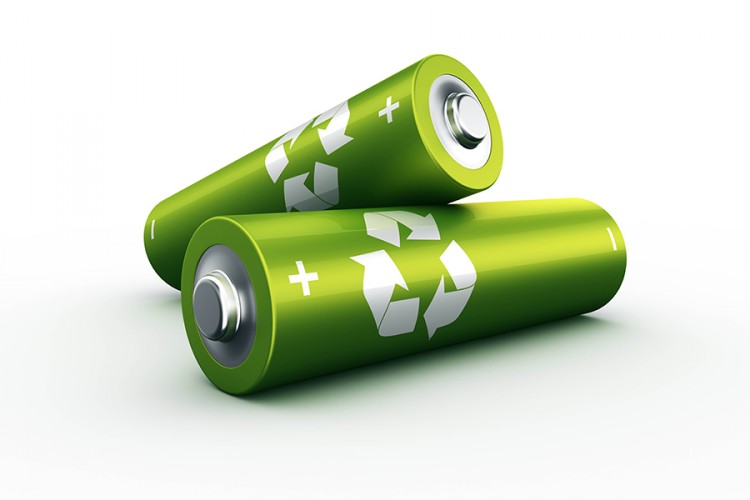 Кадастровая палата приняла участие в экологической акции по сбору батареек