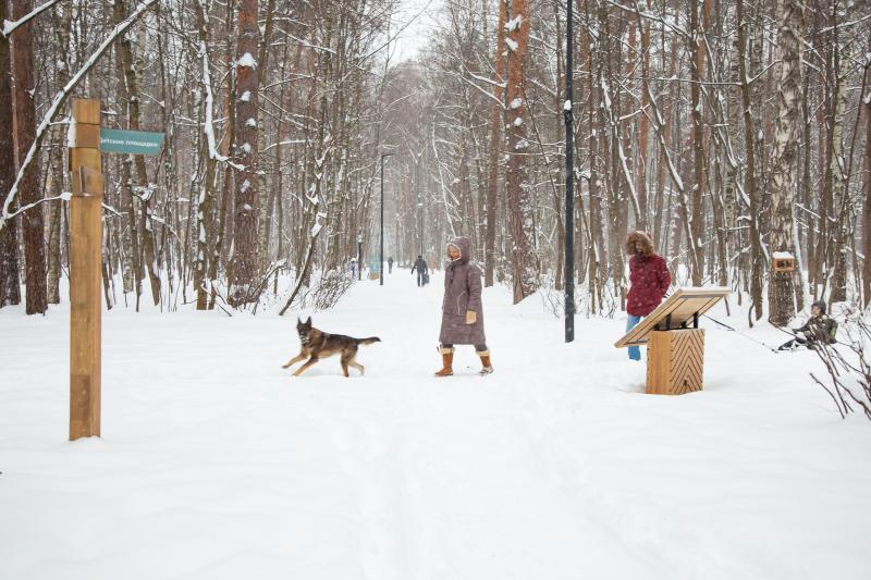 Эксперты Atlas рассказали о зимних активностях в Щукинском лесопарке
