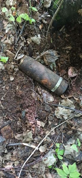 Взрывотехники Росгвардии уничтожили артиллерийский снаряд, обнаруженный в Красногорском районе Удмуртии