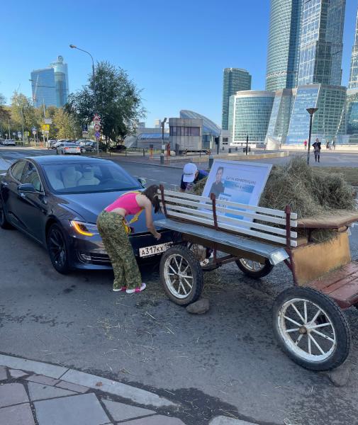 "Тесла" въехала в тележку с лошадью у Москва-сити