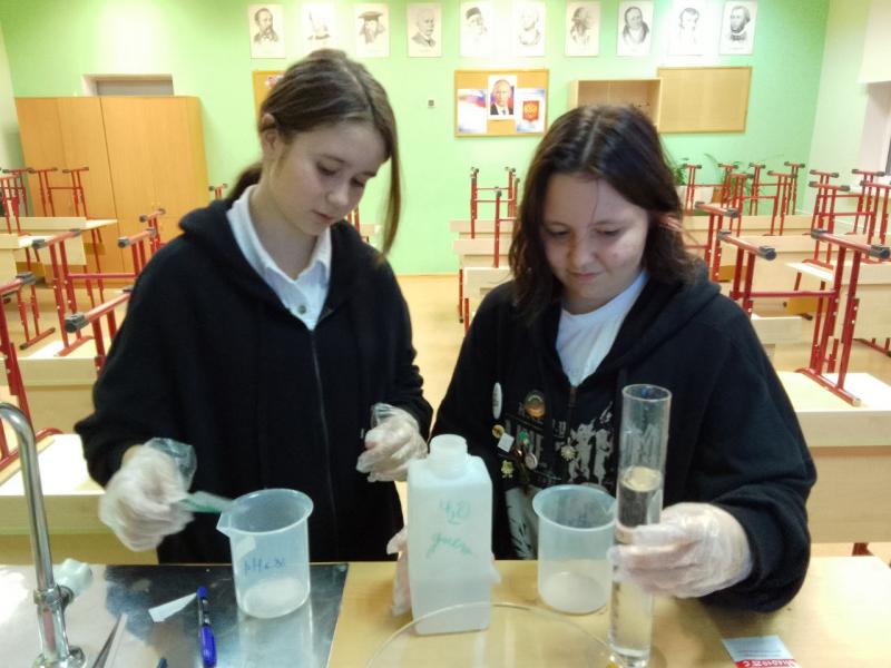 Восьмиклассницы школы №2065 придумали новый способ тушения лесных пожаров