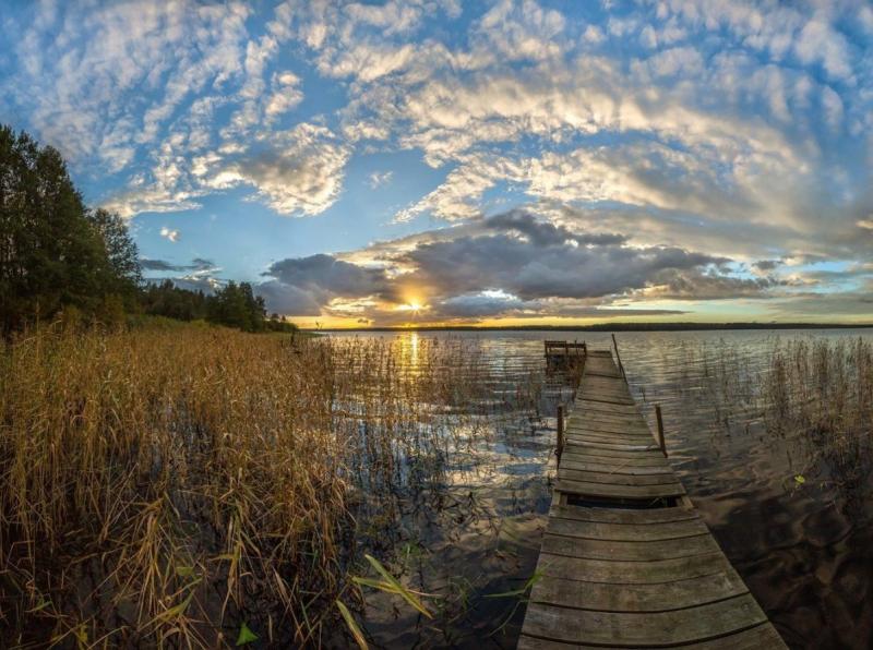 Правительство Ленобласти отказалось от создания заказника «Озеро Лубенское» в пользу опасного производства "Русала"