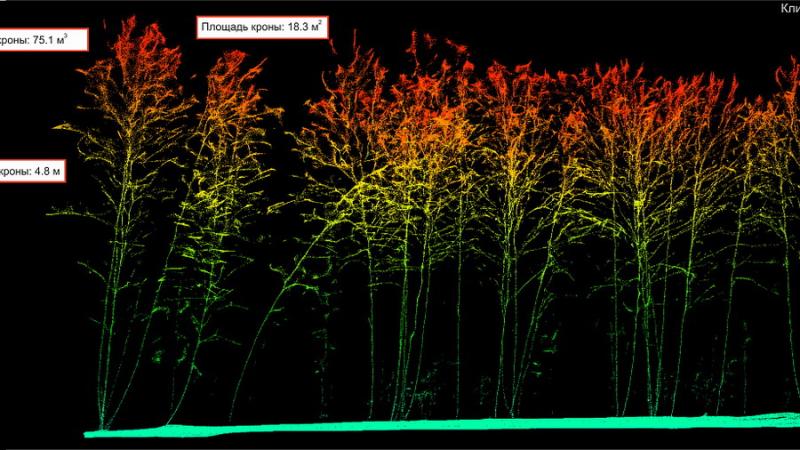 Ученые НГУ создают модель экосистемы леса с помощью беспилотника