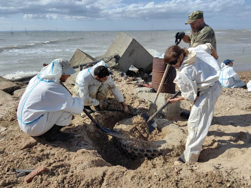 Кубанский казачий центр «Баско» и конный клуб «Черёмушки» г.Геленджика на ликвидации экологической катастрофы на черноморском побережье.