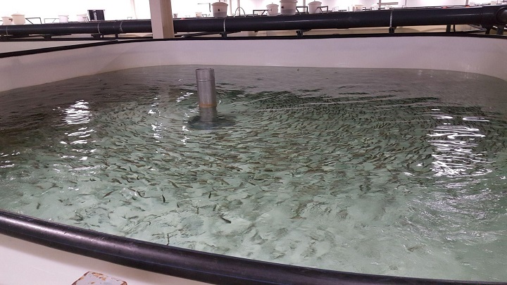 Преимущества применения озона для очистки воды