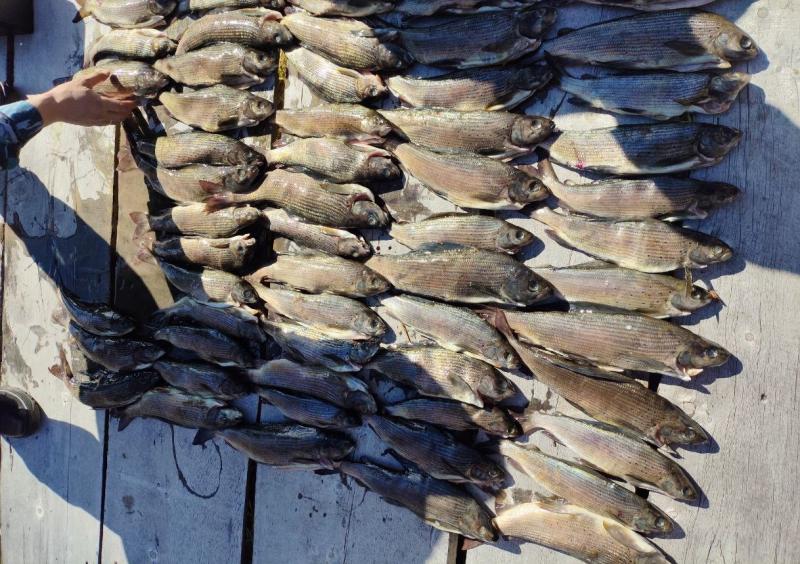 В Тодже при содействии СОБР «Эзир» задержан гражданин за незаконную добычу рыбы