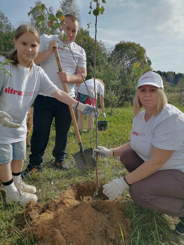 В Егорьевске высадили 700 тыс деревьев с 2013 года